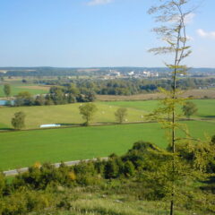 dsc00235